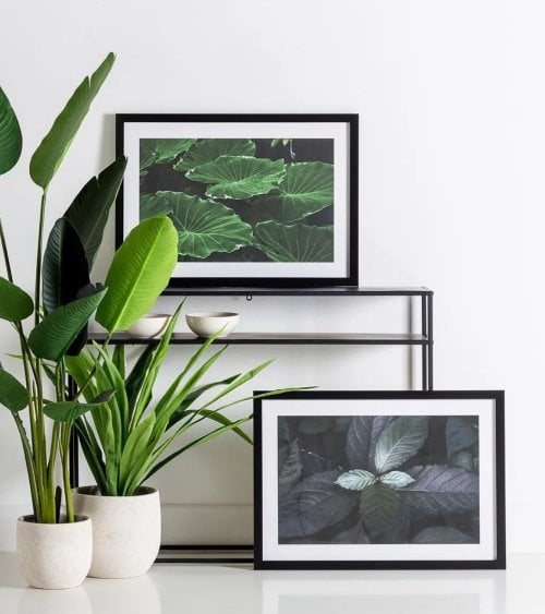 Cuadro Impreso Fotografía de Hojas de MDF