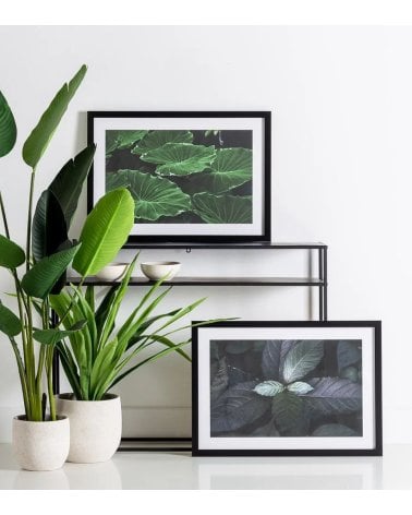 Cuadro Impreso Fotografía de Hojas de MDF