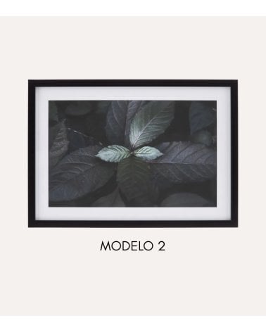 Cuadro Impreso Fotografía de Hojas de MDF