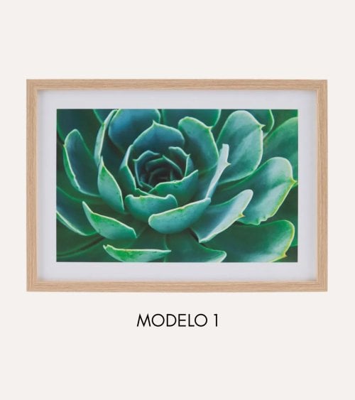 Cuadro Impreso Cáctus de MDF