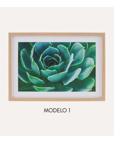 Cuadro Impreso Cáctus de MDF