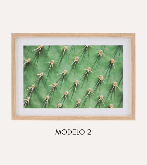 Cuadro Impreso Cáctus de MDF