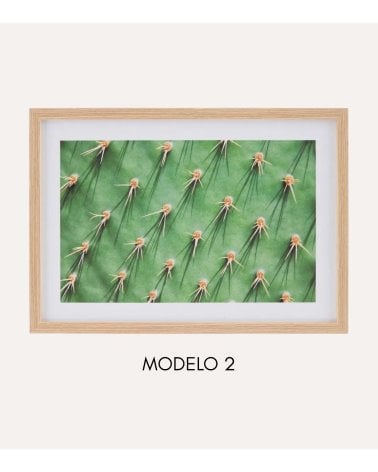 Cuadro Impreso Cáctus de MDF