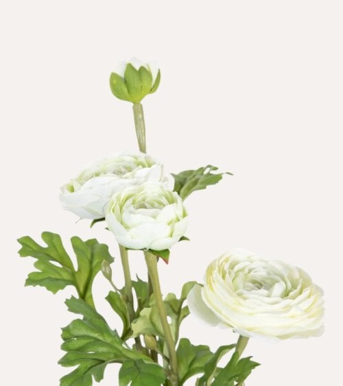 Planta Decorativa Rosal Floreciente en Maceta