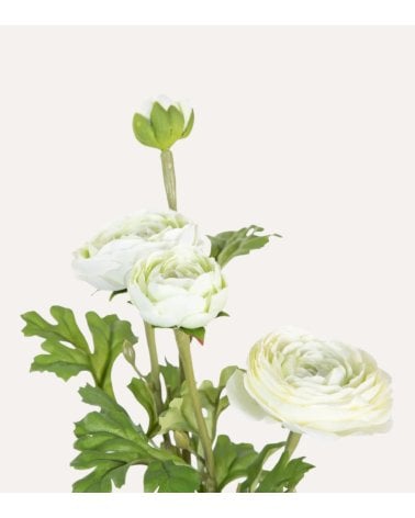 Planta Decorativa Rosal Floreciente en Maceta