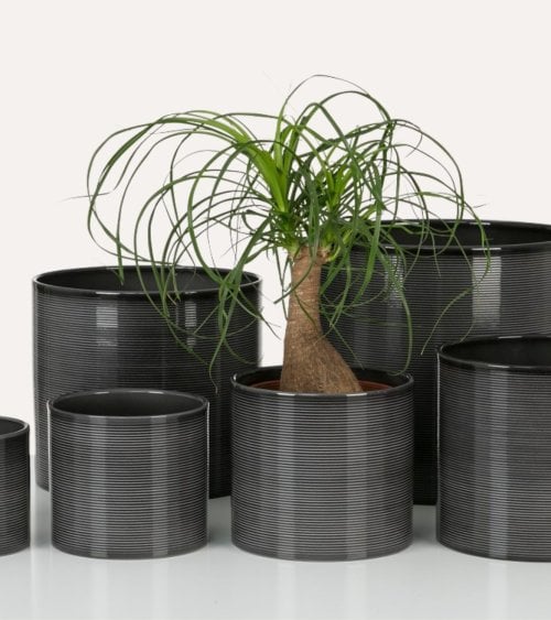 Maceta Glass Grey de Cerámica