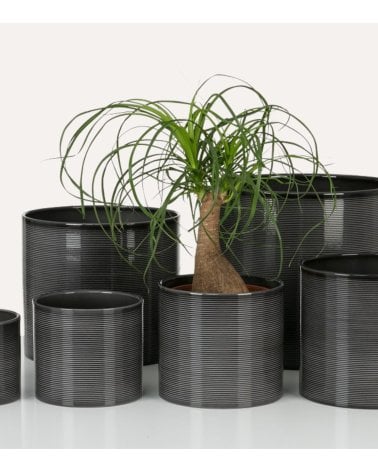 Maceta Glass Grey de Cerámica
