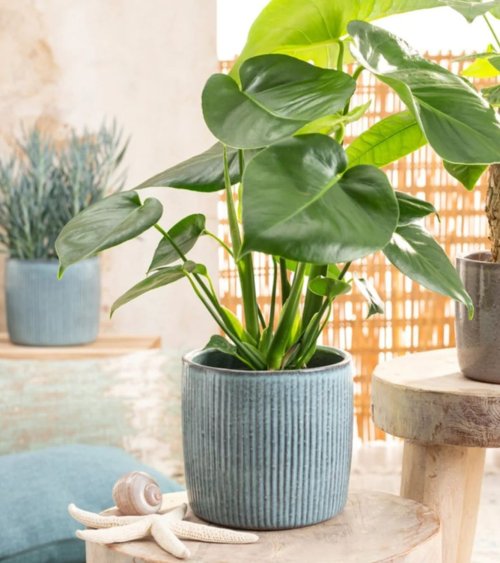 Maceta Lagoon a Rayas de Cerámica