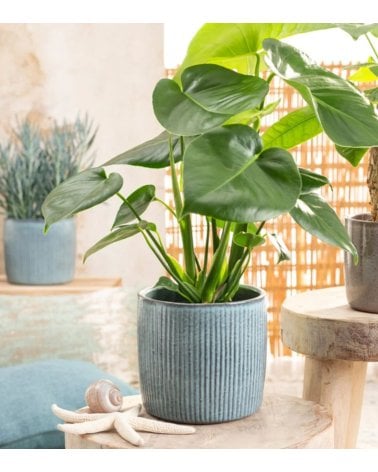 Maceta Lagoon a Rayas de Cerámica