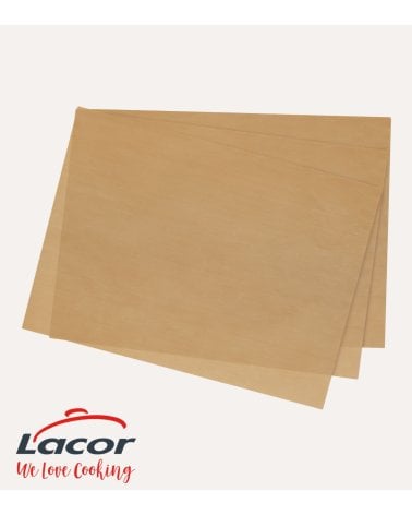 Set de 2 Láminas Reutilizables de Papel con Fibra de Vidrio