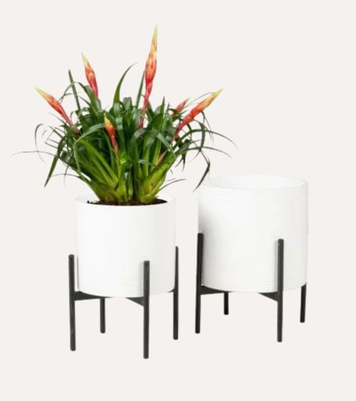 Soporte de Maceta Pedestal de Metal