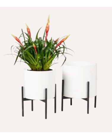 Soporte de Maceta Pedestal de Metal