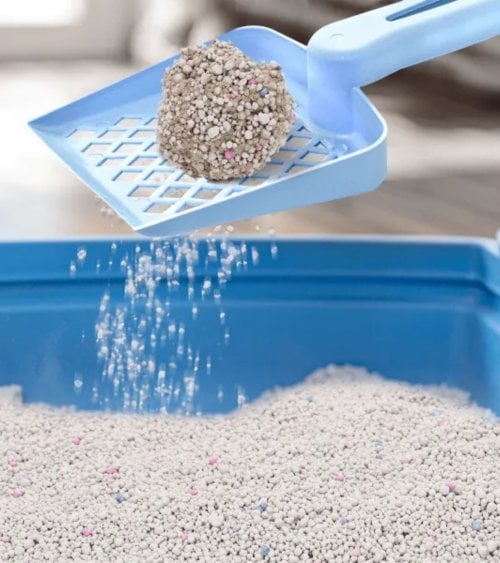 Arena para Gatos de Bentonita