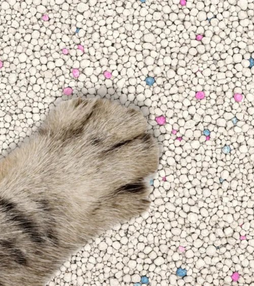 Arena para Gatos de Bentonita