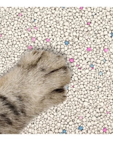 Arena para Gatos de Bentonita