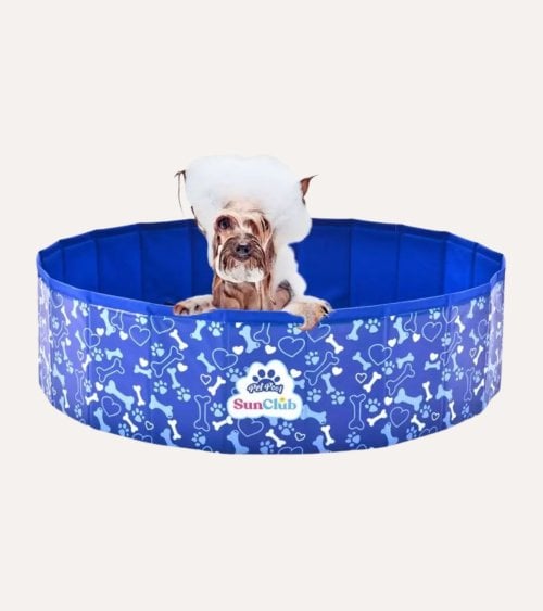 Piscina para Mascotas de Plástico
