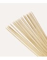 Set de 100 Palitos de Brocheta de Madera