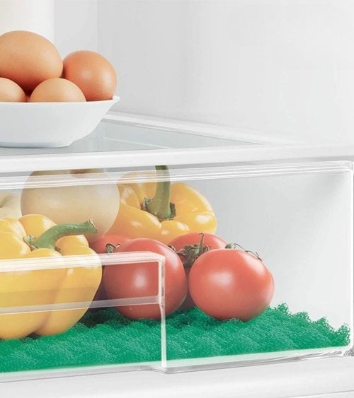 Base Conservante de Alimentos para Frigoríficos