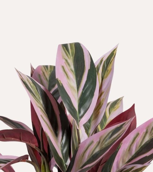 Planta Decorativa Alpina Rosa de Plástico