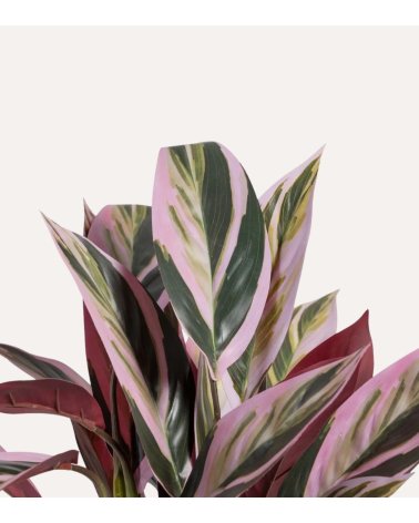 Planta Decorativa Alpina Rosa de Plástico