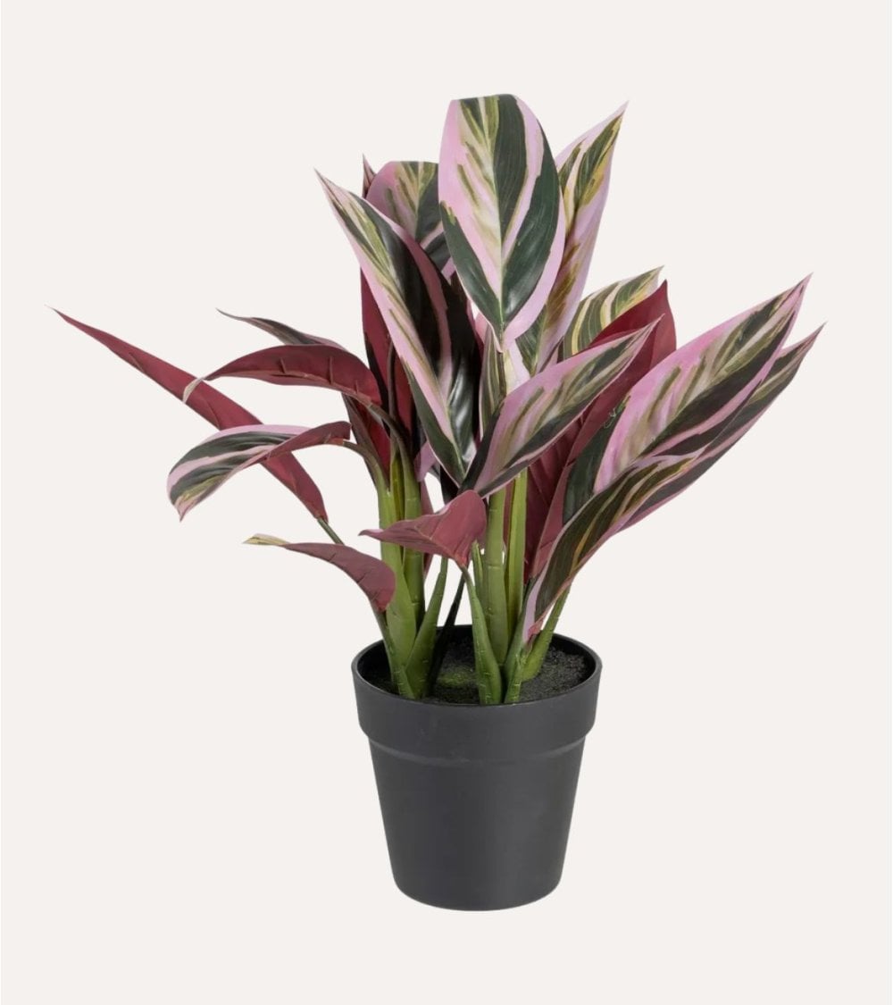 Planta Decorativa Alpina Rosa de Plástico