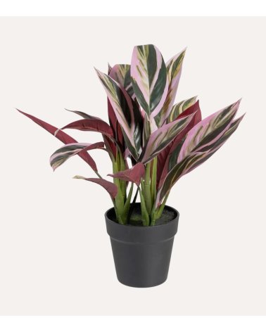 Planta Decorativa Alpina Rosa de Plástico