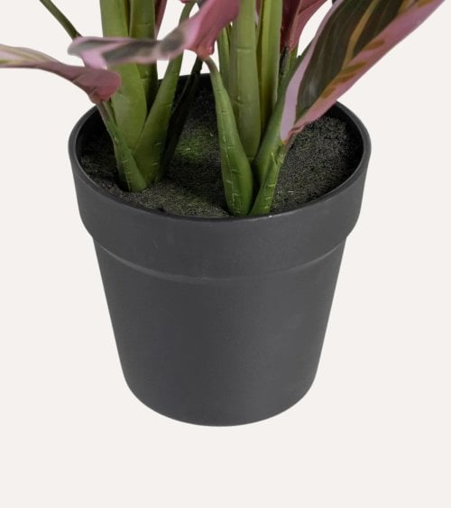 Planta Decorativa Alpina Rosa de Plástico