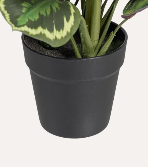 Planta Decorativa Calatea Verde de Plástico