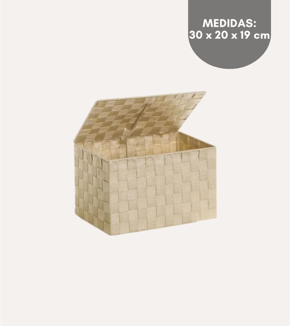 Cesta con Tapa de Tejido Grueso de PP