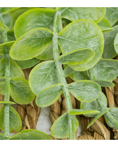 Planta Colgante Decorativa Zea de Paja