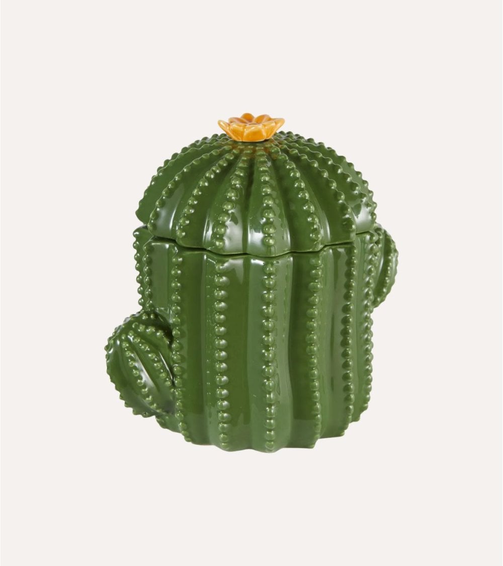 Caja de Cáctus Decorativa de Dolomita