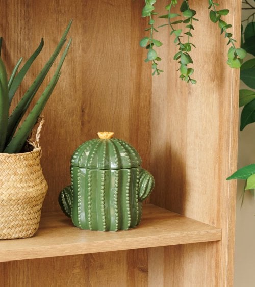 Caja de Cáctus Decorativa de Dolomita