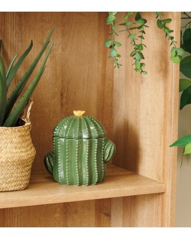 Caja de Cáctus Decorativa de Dolomita