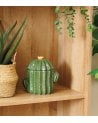 Caja de Cáctus Decorativa de Dolomita
