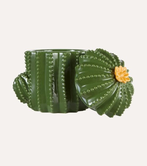 Caja de Cáctus Decorativa de Dolomita