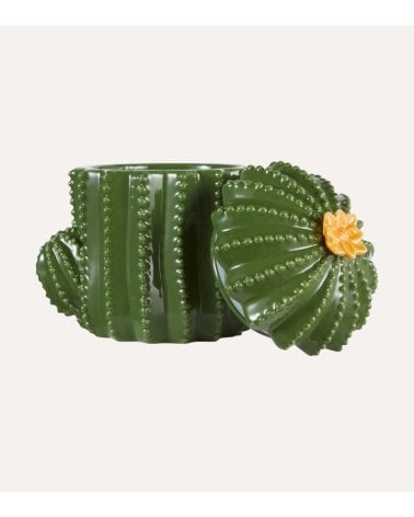 Caja de Cáctus Decorativa de Dolomita