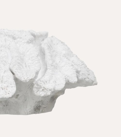 Figura Decorativa Coral Bajo de Resina