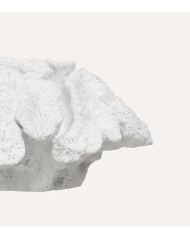 Figura Decorativa Coral Bajo de Resina