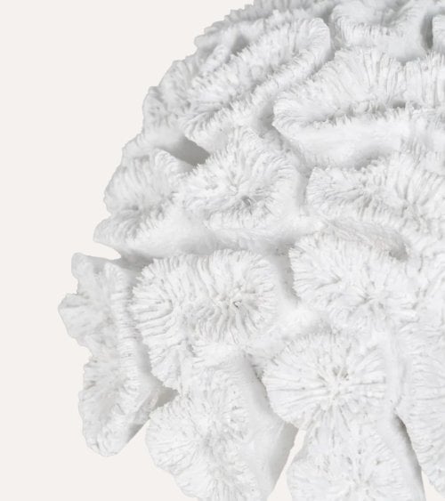 Figura Decorativa Coral Bajo de Resina