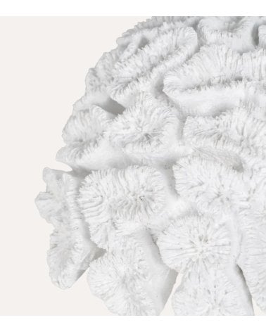 Figura Decorativa Coral Bajo de Resina