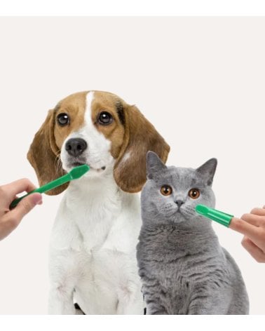 Set de Cepillos y Pasta de Dientes para Mascotas