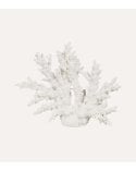 Figura Decorativa de Coral Abierto de Resina