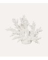 Figura Decorativa de Coral Abierto de Resina