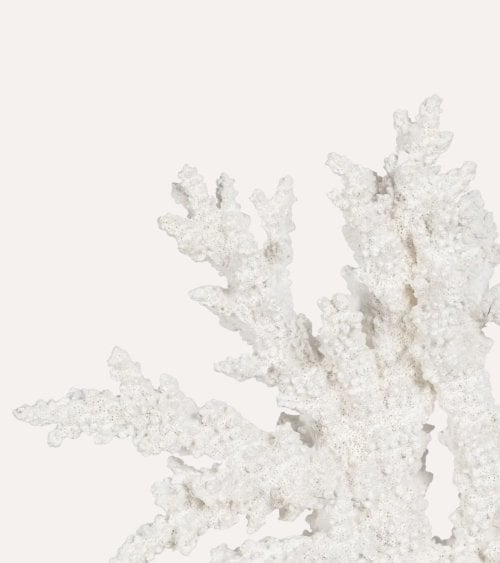Figura Decorativa de Coral Abierto de Resina