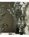 Eucalipto Blanco Decorativo de Plástico