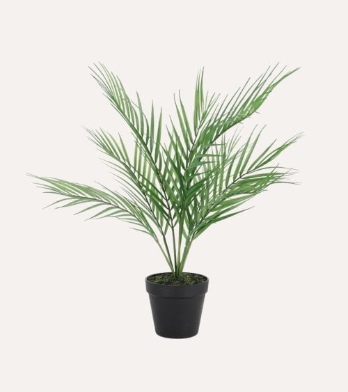 Planta de Palma Decorativa de Plástico