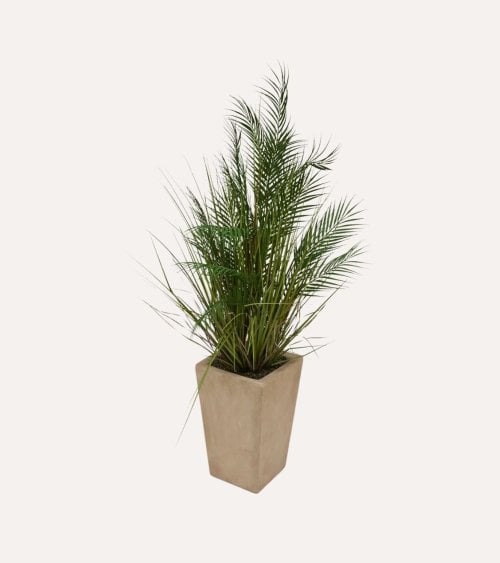 Palmera Decorativa Wojin con Maceta de Cerámica