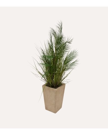 Palmera Decorativa Wojin con Maceta de Cerámica