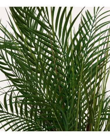 Palmera Decorativa Wojin con Maceta de Cerámica