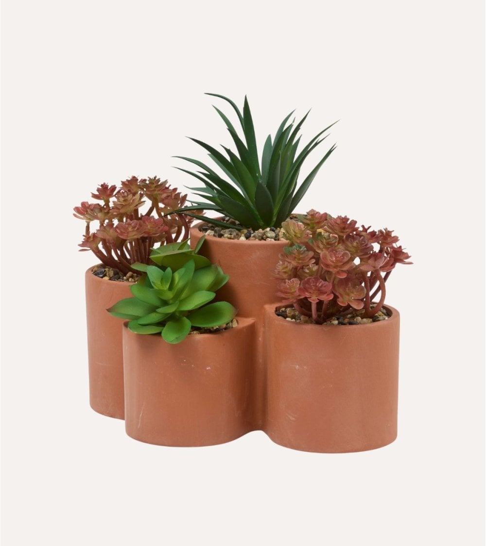 Suculentas Decorativas en Maceta Múltiple